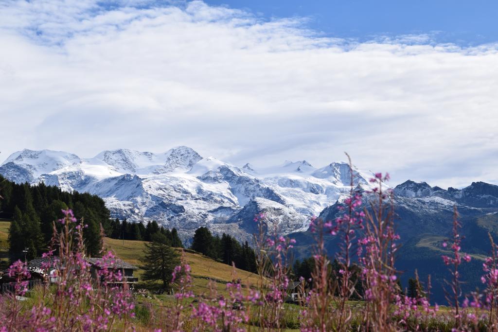 Le Rocher Hotel Champoluc Εξωτερικό φωτογραφία